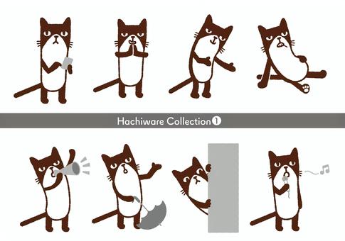 Illustration, kucing, hachi ware, loose, 
