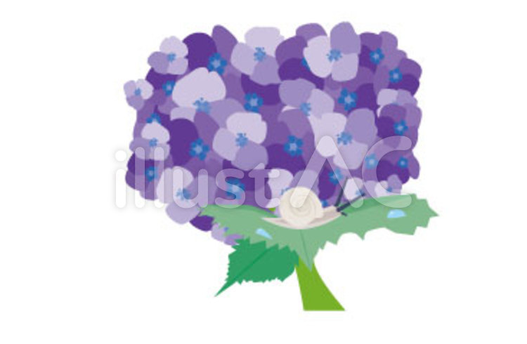 梅雨 紫陽花,カタツムリ,梅雨のイラスト素材