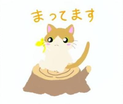 猫のまってます