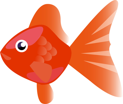 金魚_赤 金魚,出目金,観賞魚,熱帯魚,魚,水族館,水槽,金魚すくい,水生生物,夏祭りのイラスト素材