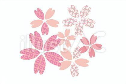 和柄の桜/ピンク