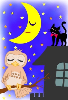 Illustration, mitternacht, eule, schwarze katze, 