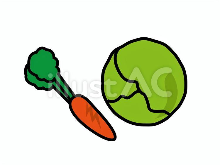 グリーン栽培　やさい 野菜,キャベツ,人参のイラスト素材