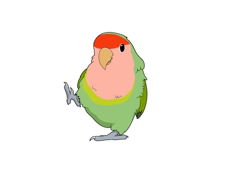 コザクラインコ・ノーマル コザクラインコ・ノーマル 鳥,インコ,かわいい,ペット,手乗り,フリー,素材,カラフル,コザクラインコ,ノーマルのイラスト素材
