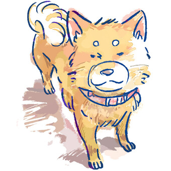 Shiba Inu, animal, dog, JPG