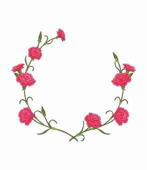 Carnation frame, JPG and PNG Carnation frame, flower, carnation, frame, JPG and PNG