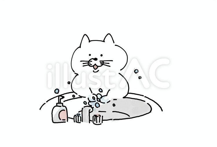 しっかり手を洗う猫　感染予防 猫,手洗い,感染予防のイラスト素材