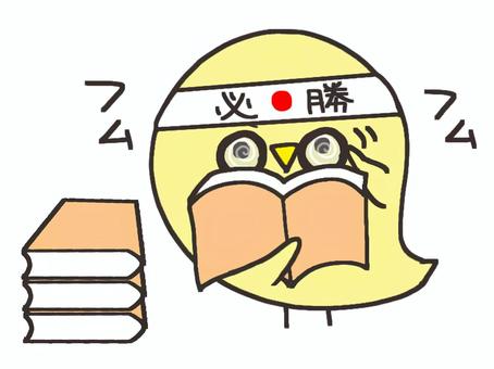 勉強するひよこ