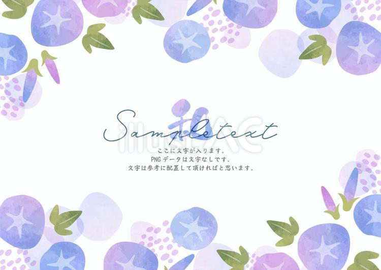 涼し気な朝顔の挨拶状 朝顔,枠,フレームのイラスト素材
