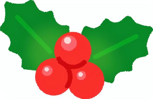セイヨウヒイラギ セイヨウヒイラギ,植物,クリスマス,クリスマスホーリー,魔除け,装飾のイラスト素材