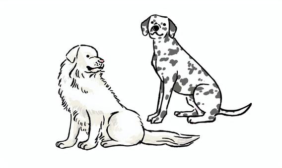 犬_8_大型犬 手書き風,犬,かわいい,dog,鉛筆タッチ,わんちゃん,キャラクター,生き物,動物,グレートピレニーズのイラスト素材
