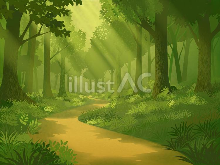 木漏れ日の森林と道の風景ベクターイラスト 森,林,木漏れ日のイラスト素材