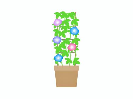 朝顔の鉢 朝顔の鉢 アサガオ,花,植物,風物詩,夏,プランター,葉っぱ,育てる,植える,アイコンのイラスト素材