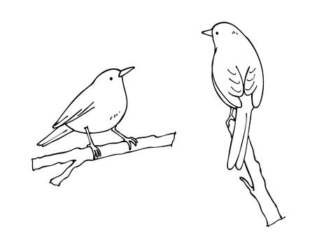 野鳥のぬりえ 野鳥,かわいい,線画,シンプル,手描きのイラスト素材