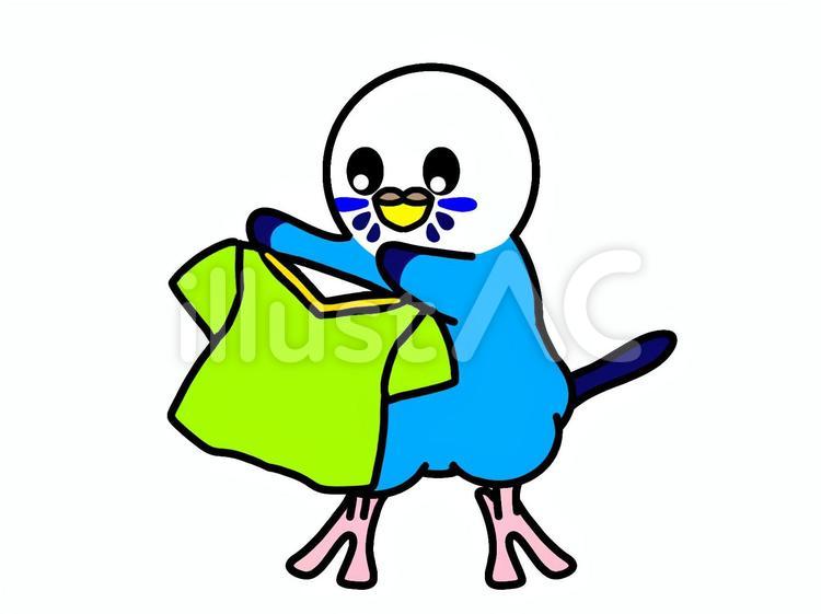 セキセイインコ　Tシャツ セキセイインコ,鳥,動物のイラスト素材