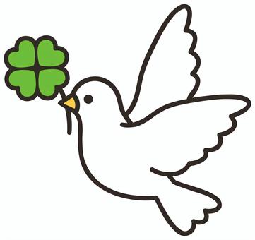 幸せを運ぶ白い鳩 鳩,白鳩,鳥,白,クローバー,四つ葉,運ぶ,くわえる,幸運,幸せのイラスト素材