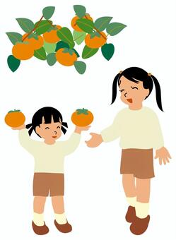 柿狩りで柿の木の下で柿を手に喜ぶ姉妹 柿,柿狩り,秋,人物,植物,実,果実,食べ物,子ども,女の子のイラスト素材