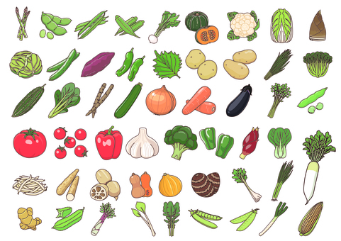 Illustration, asparagus, edamame, green beans, 