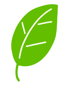 Leaf Simple, leaf, plant, green, JPG and PNG