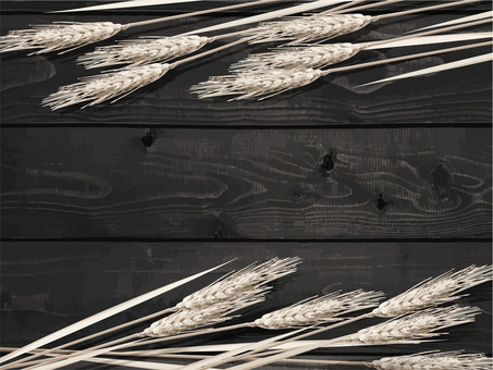 小麦色の麦穂と板の背景3　mugi003 麦穂,小麦色,リアル,ナチュラル,お洒落,自然,植物,大人っぽい,枠,背景のイラスト素材