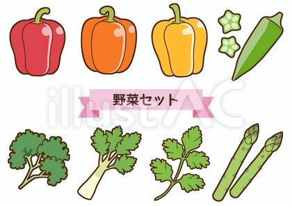 野菜セット6(パセリ・セロリ・パクチー)