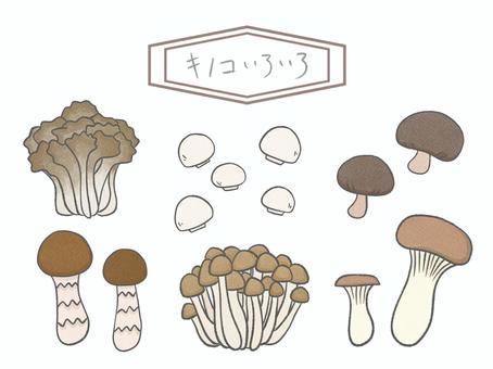 キノコ詰め合わせ① キノコ,食材,秋の味覚,食べ物,しめじ,まいたけ,しいたけ,マッシュルーム,エリンギ,野菜のイラスト素材