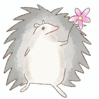 花を渡すハリネズミ ハリネズミ,生き物,動物,花,水彩,鉛筆のイラスト素材