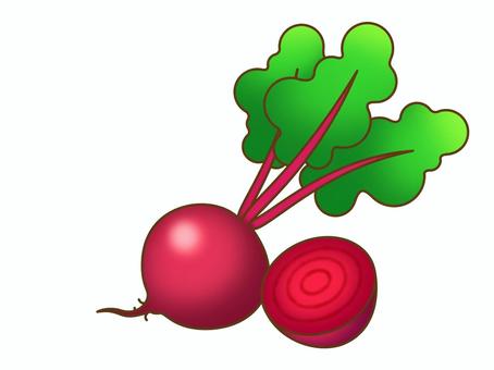 ビーツ:断面あり ビーツ:断面あり ビーツ,ビート,ビートルート,レッドビート,ガーデンビート,火焔菜,サトウダイコン,テンサイ,ボルシチ,赤カブのイラスト素材