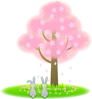 Ohana view rabbits, JPG Ohana view rabbits, , JPG
