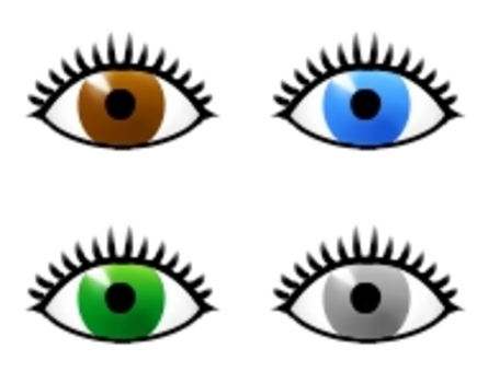 睫毛と目 目,まぶた,眼球,睫毛,見る,眼科,顔,パーツのイラスト素材