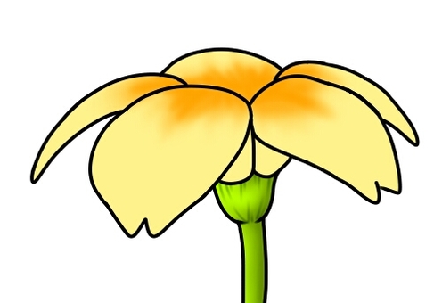 黃色的花朵, 花, 植物, 黄色, JPG 和 PNG