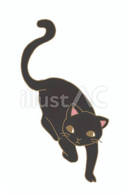 黒猫