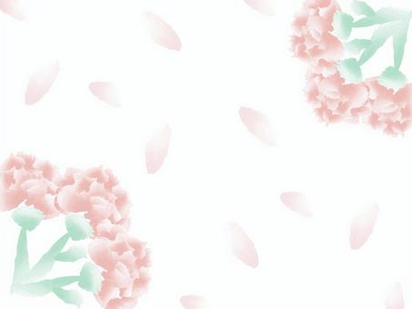 Carnation background 03, , JPG