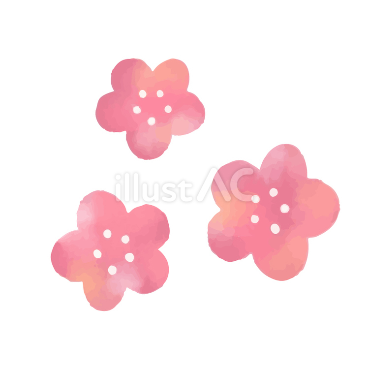 梅の花　素材 梅の花,梅,花のイラスト素材