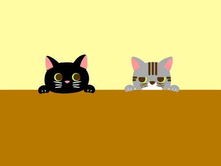 Cats, cat, czarny kot, sabatra, JPG and PNG