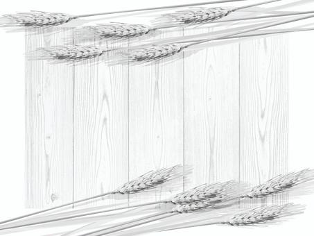 白黒の麦穂と板の背景1 mugi003 白黒の麦穂と板の背景1 mugi003 麦穂,白黒,リアル,ナチュラル,お洒落,自然,植物,大人っぽい,枠,背景のイラスト素材