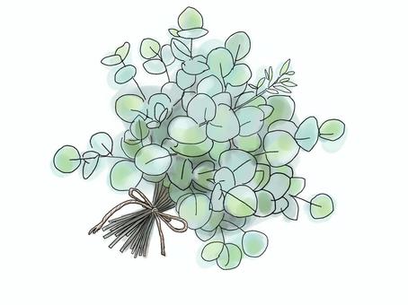 ユーカリのブーケ｜ボタニカル素材 ハーブ,ブーケ,水彩,植物,ボタニカル,グリーン,ナチュラル,香り,手描き,イラストのイラスト素材