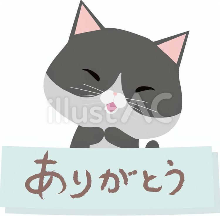 ありがとう_猫_はちわれ ありがとう,猫,動物のイラスト素材