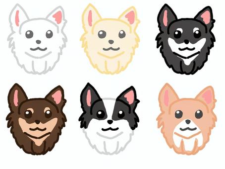 チワワ_ロングコート_顔セット 犬,チワワ,わんちゃん,ロングコート,子犬,仔犬,小型犬,ペット,かわいい,動物のイラスト素材