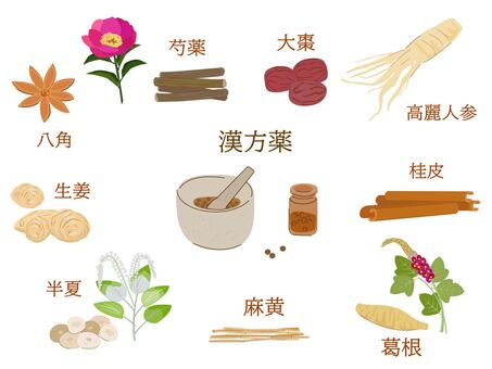 漢方薬 一覧 漢方,漢方薬,葛根,クズ,根,植物,薬,生薬,芍薬,薬用のイラスト素材