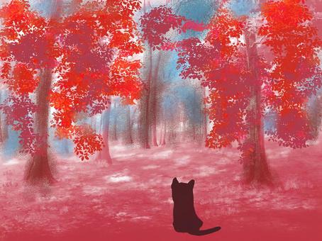 紅葉と猫