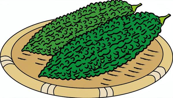ゴーヤ ゴーヤ,野菜,ニガウリ,沖縄,植物,苦い,ざるのイラスト素材