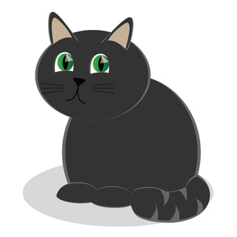 black cat, cat, black cat, a pet, JPG, PNG and EPS