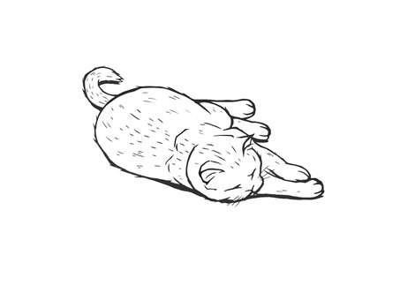 のんびりと寝転ぶ可愛い動物の猫(ねこ) 猫,動物,寝そべる,手描き,しっぽ,白猫,寝転がる,生き物,ペット,かわいいのイラスト素材