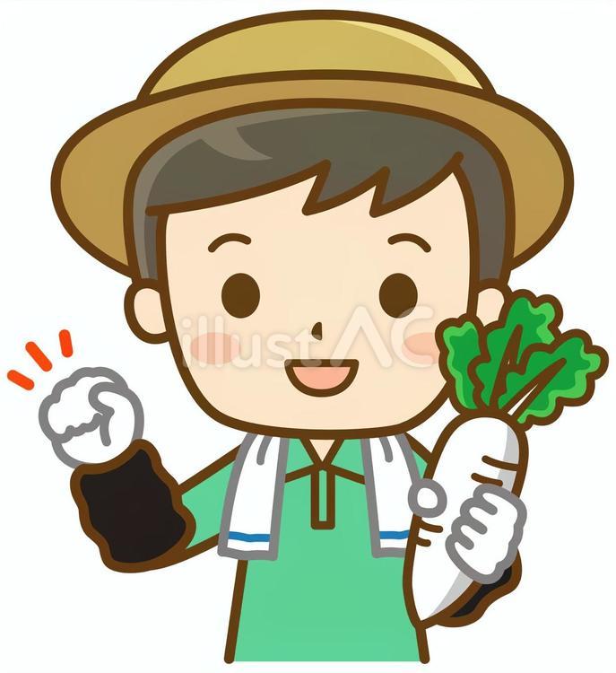 大根を収穫する男性 農家,農業,農作業のイラスト素材