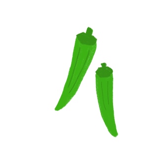 オクラ オクラ,おくら,野菜,カラフル,食材,料理のイラスト素材