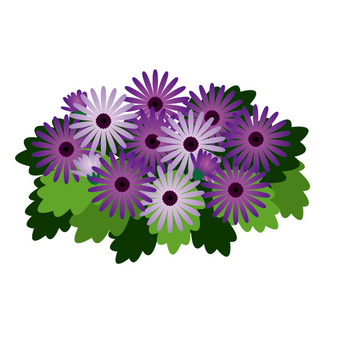 bouquet, plant, flower, purple, JPG, PNG and EPS