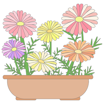 植木のマーガレット（線あり） 植木,マーガレット,花,植木鉢,鉢,ガーデニング,趣味,植物,イラスト,素材のイラスト素材