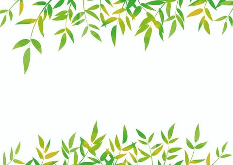 Illustration, frame, leaf, bamboo grass, 