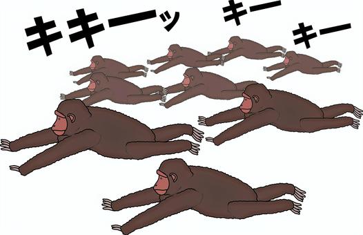 チンパンジー群れ　 チンパンジー,複数,群れ,類人猿,動物,動物園,賢い,走る,逃げる,鳴き声のイラスト素材